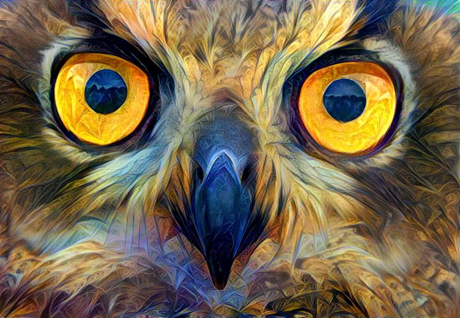 Owl