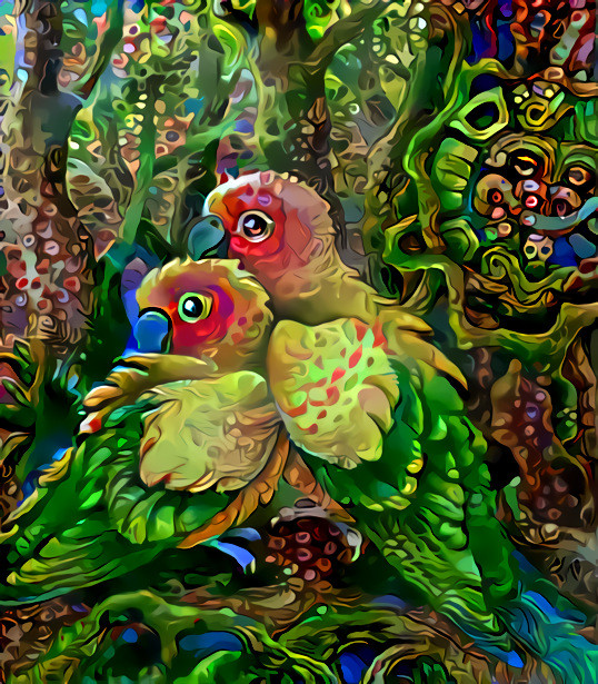 Pair-O-keets in Paradise image courtesy of artist Kiri Okami.