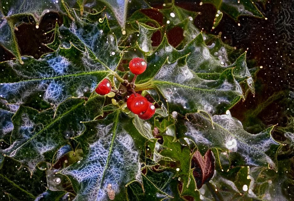 Frosty Holly