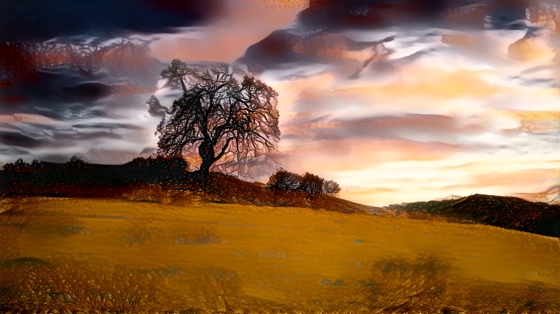 Tree and Sunset over a Hill