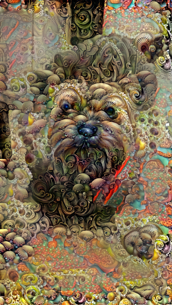 mycelium dog