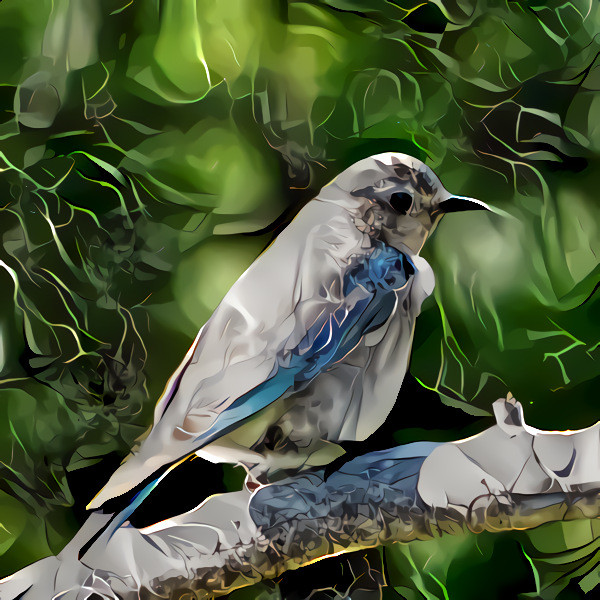 Female Mountain Bluebird + Waves and Things