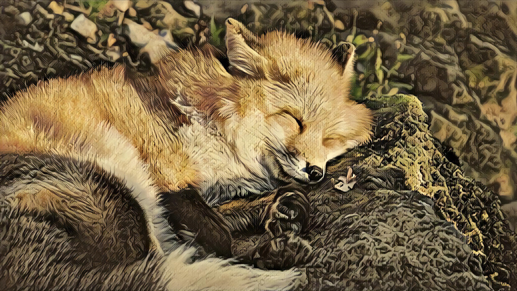 What Does the Fox Dream?