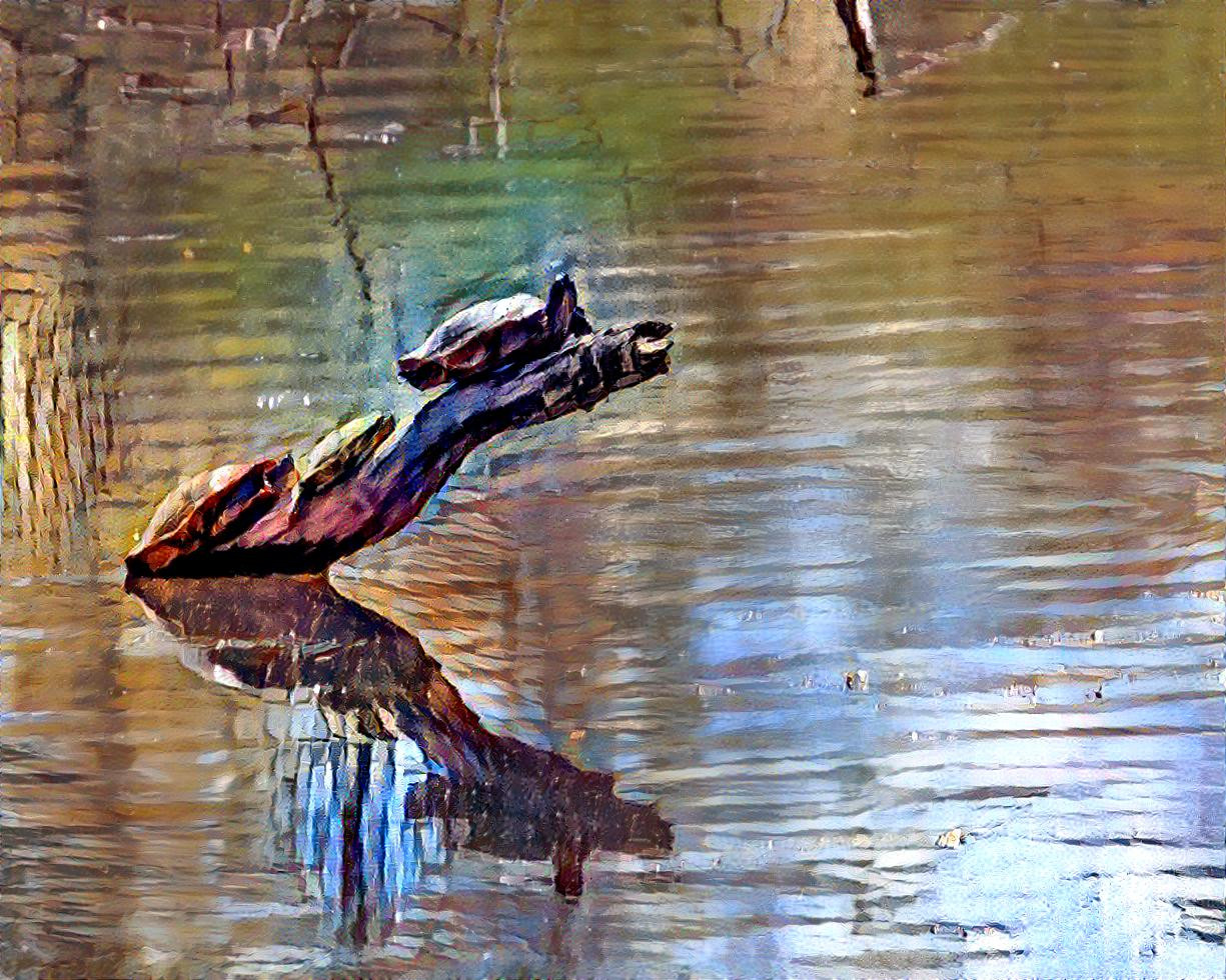 Three Turtles Sunning