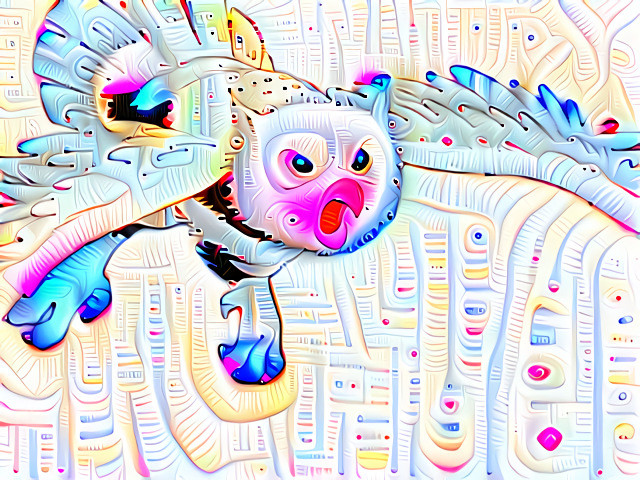 Owl