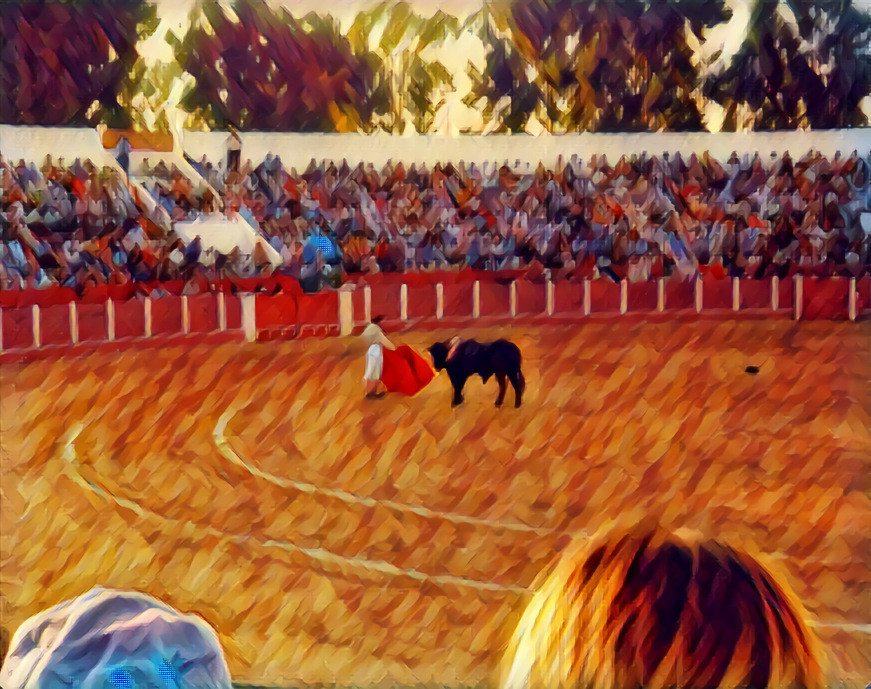 Bullfight