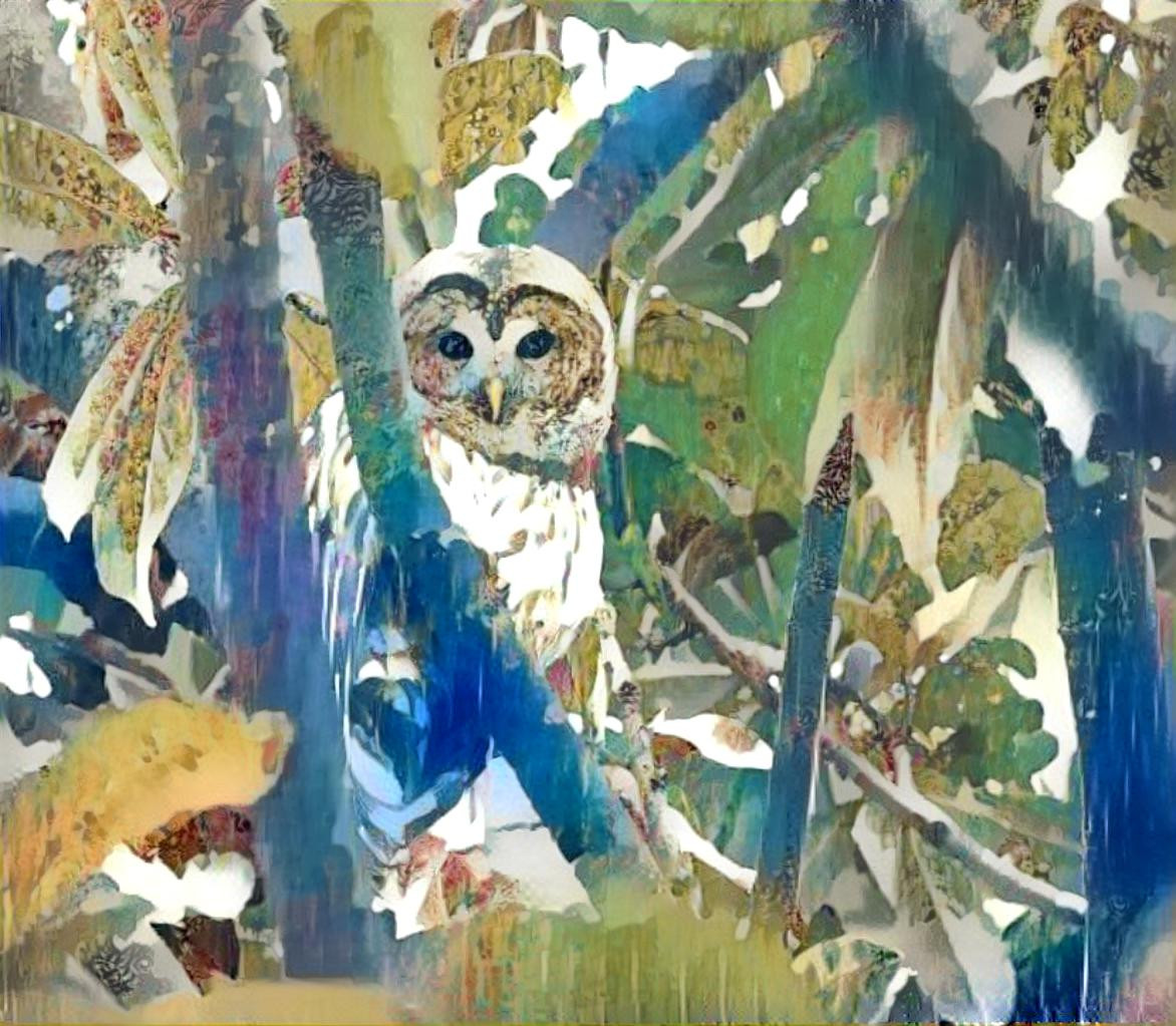 Tropicowl