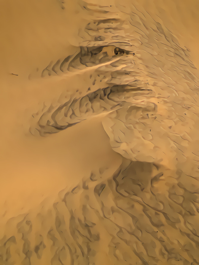 Windblown sand patterns