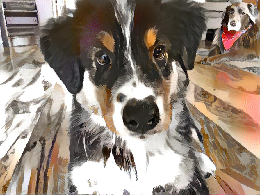 rileyaussie