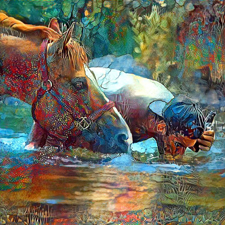 Horse and Rider drinking water 2