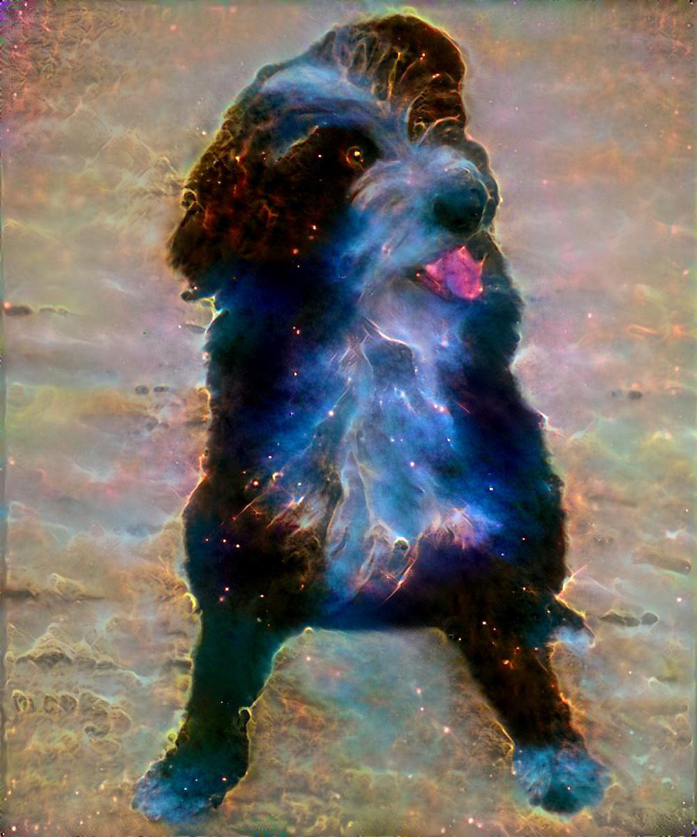 Cosmic Dog hi-res