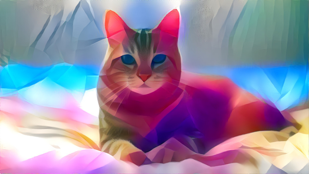 Abstract Cat