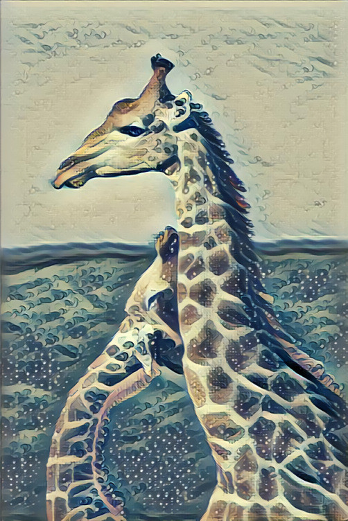 Girafes 