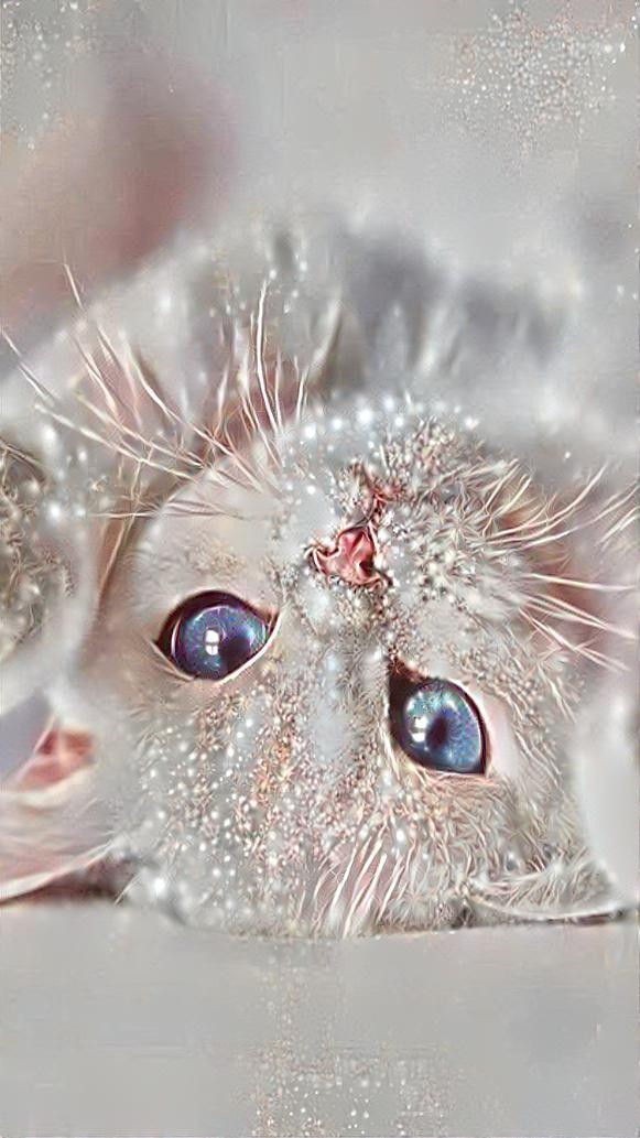 Glitter Kitty