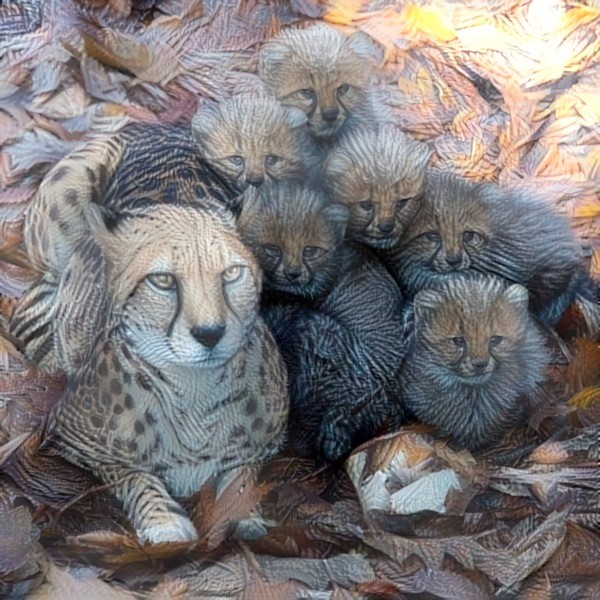 Kitten in their natural habitat