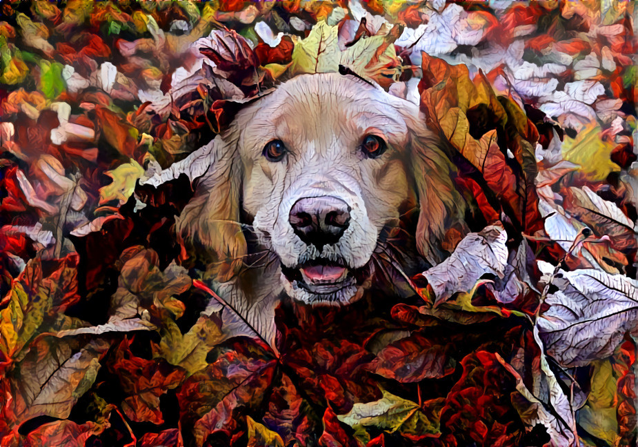 FALL FUN TIME