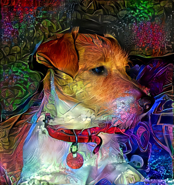 Colourfull Doggo