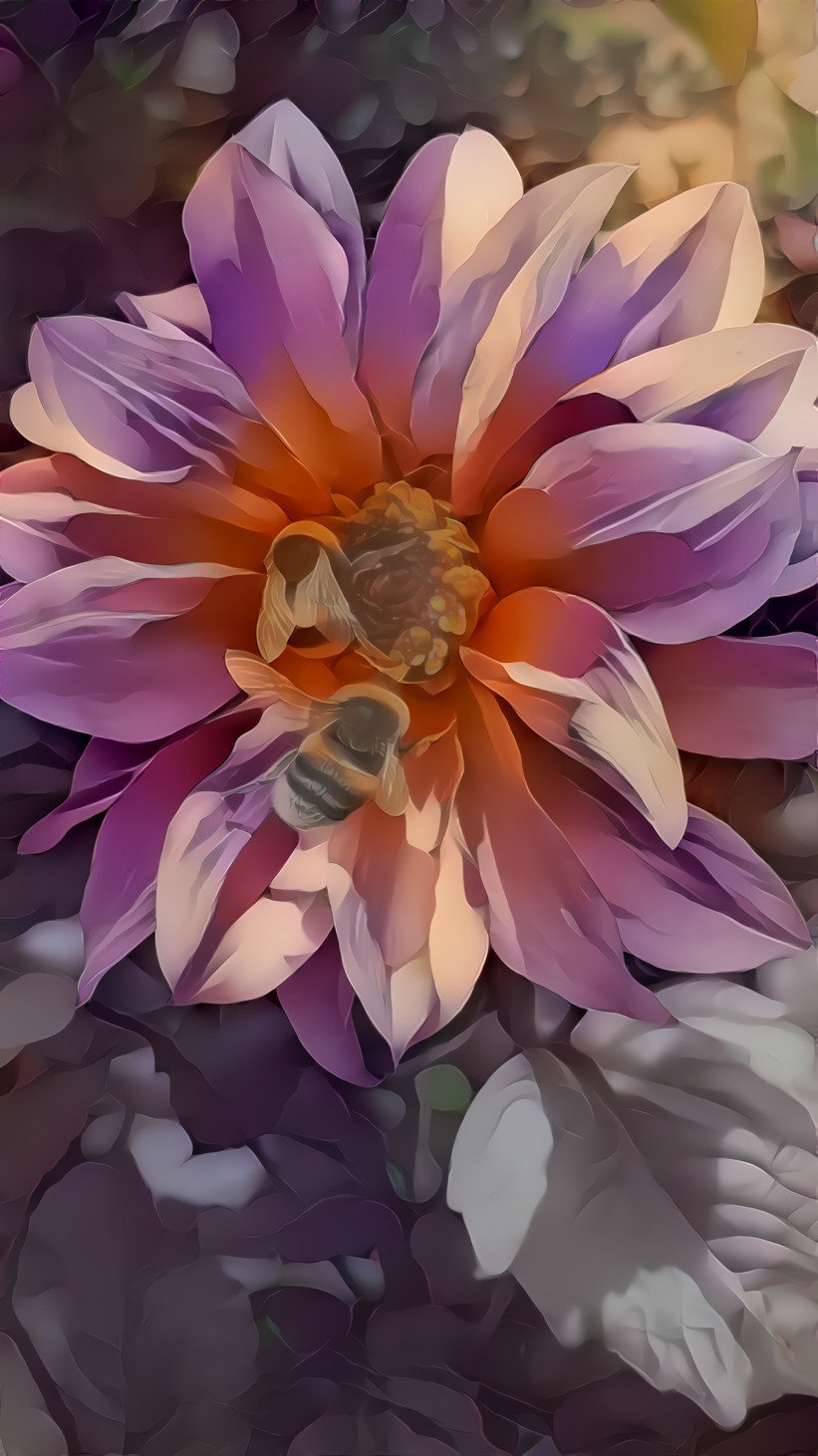 Painted Dahlia