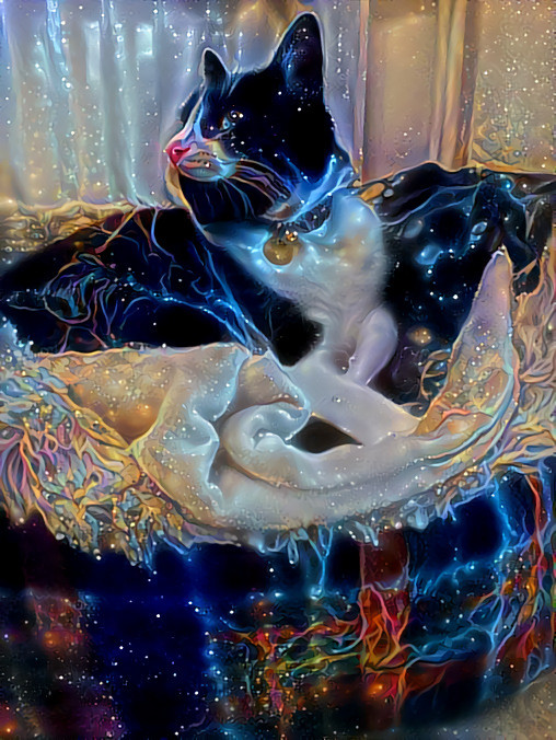 Space catto