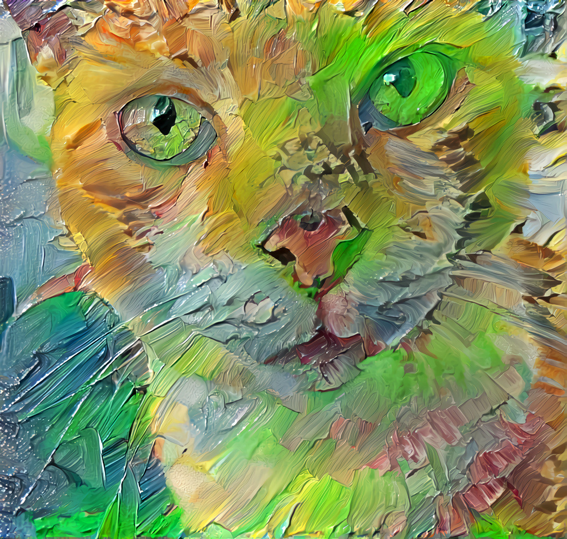 Painted Cat