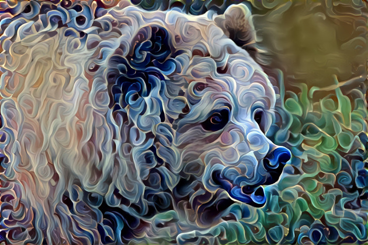 Bear