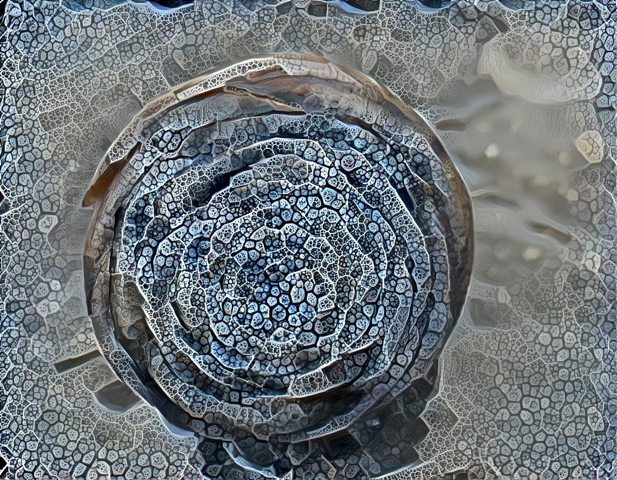 pine cone abstracted