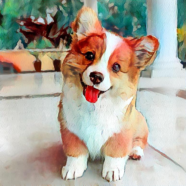 Happy Corgi