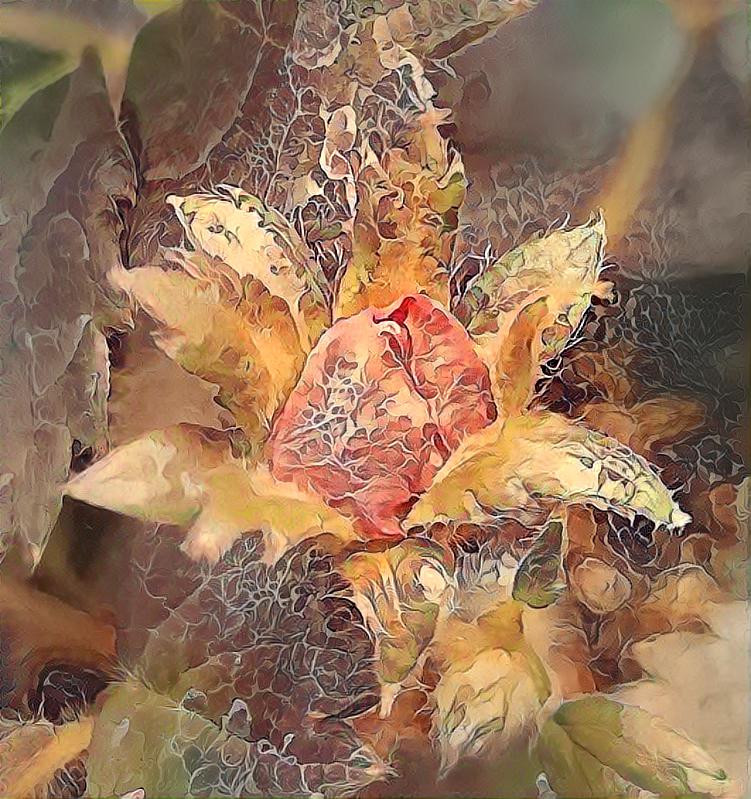 Strawberry blossom bud