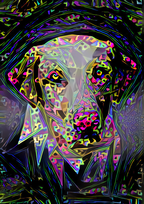 Trippy Dog