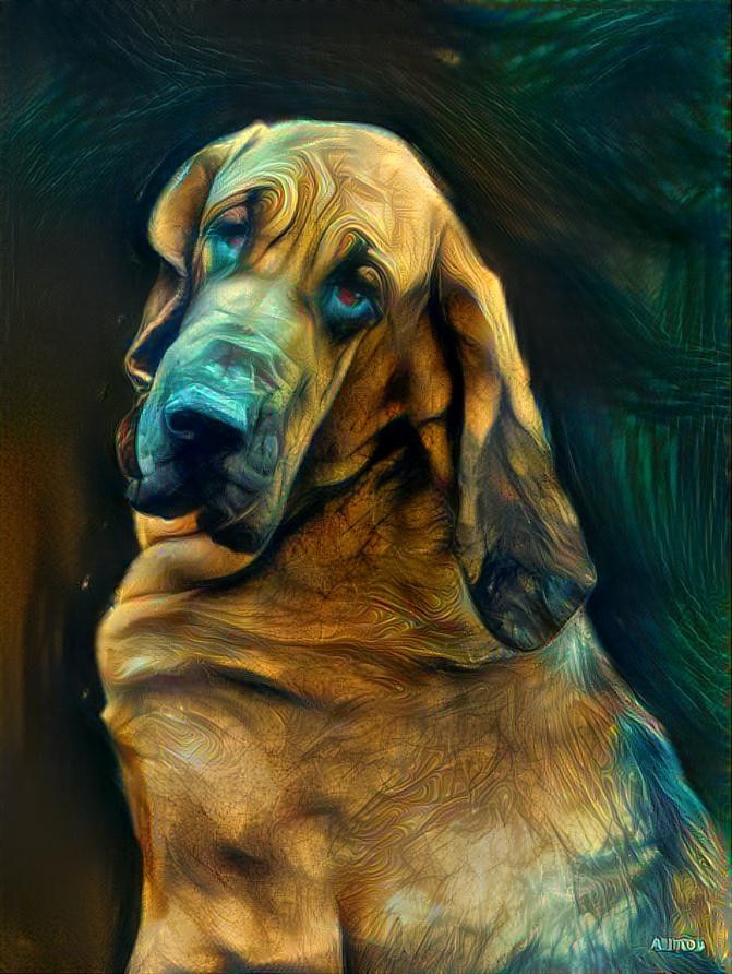 My bloodhound girl Lorenza