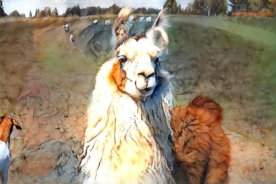 Happy Lama Tuesday