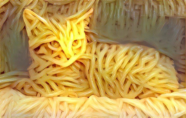 Spagcatti