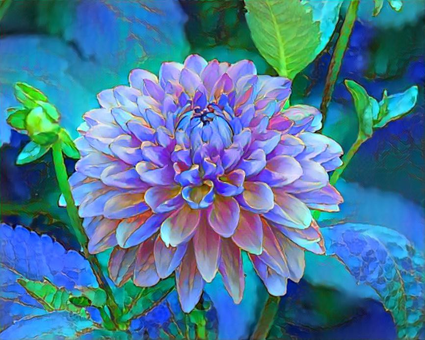 Beautiful Dahlia