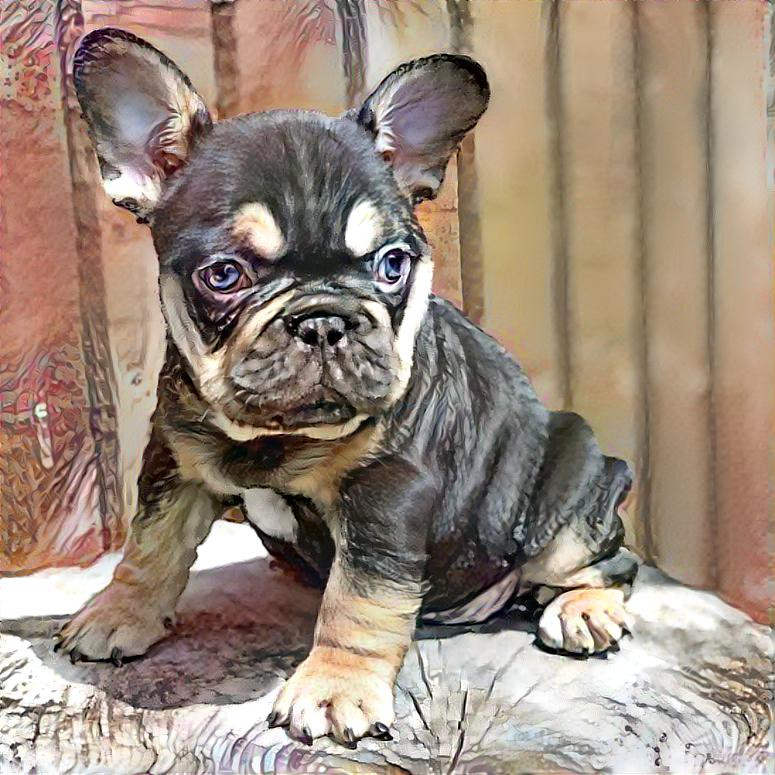 Frenchiemix2