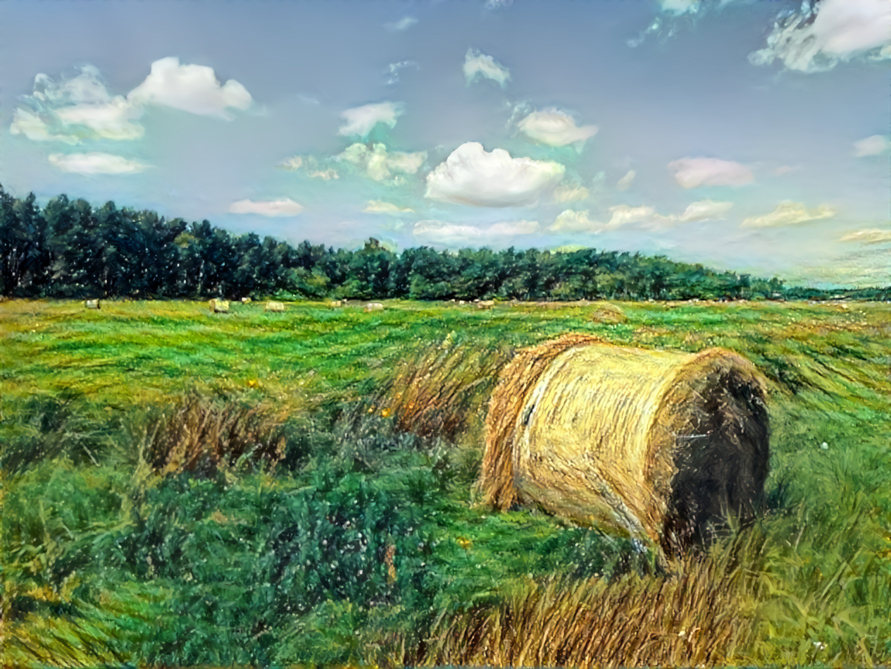 30 Jul 2021 - A field full of haystacks