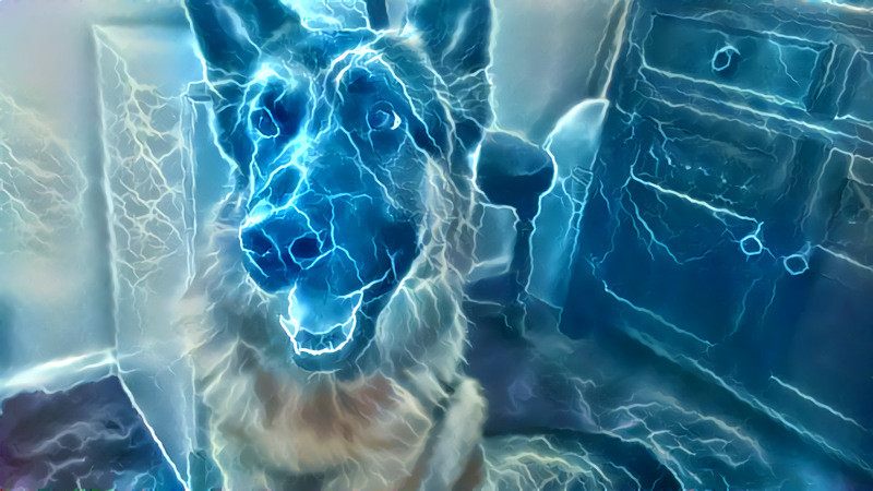 Electro dog