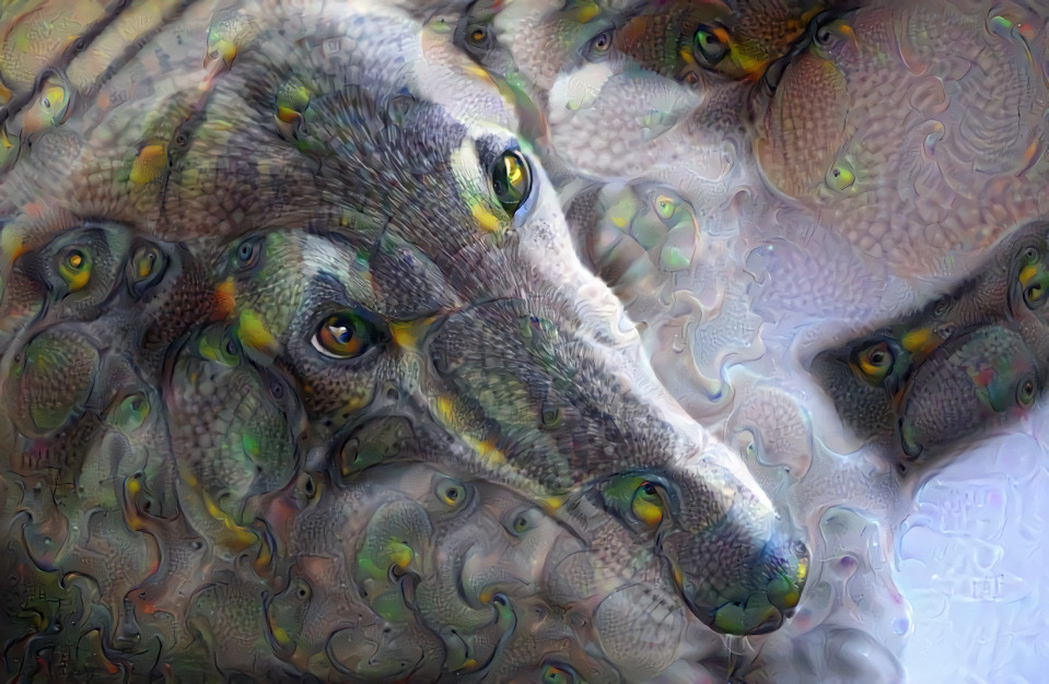 Borzoi's endless snout