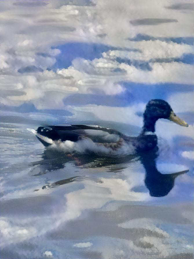 Duck in the clouds