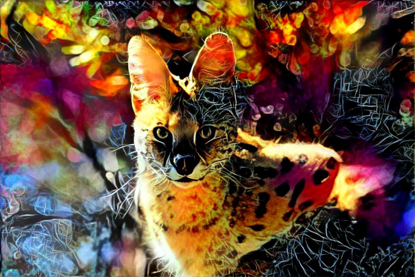 Serval Cat