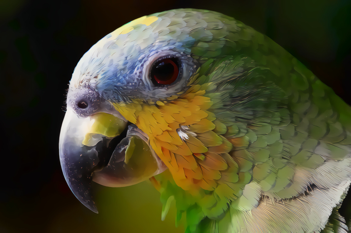 Green Parrot