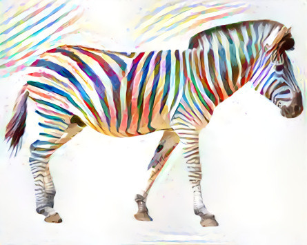 Colorful Zebra