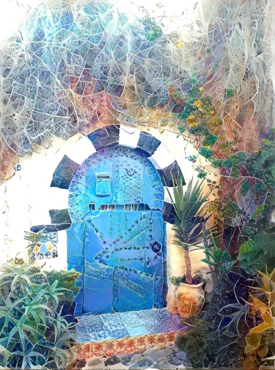 Blue Door sidi bou Saîd by Tyna