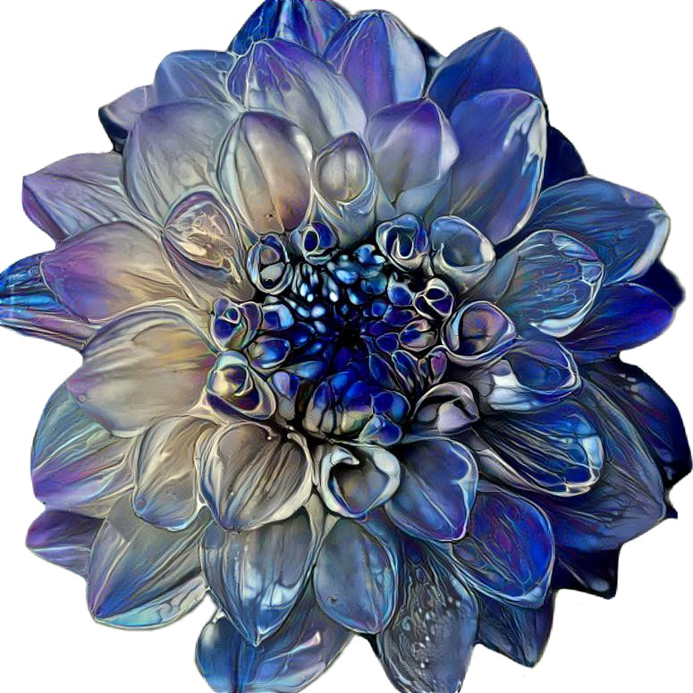 Blue Dahlia 