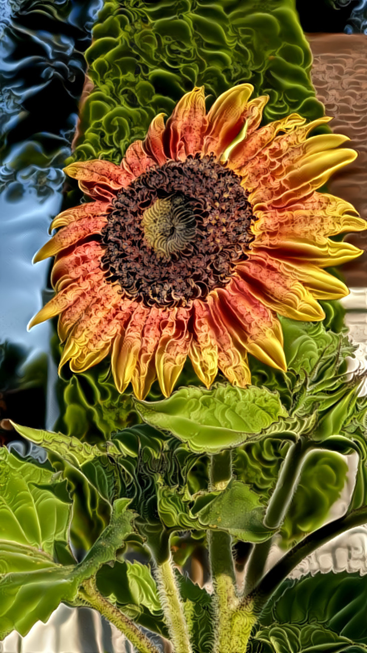 Psychedelic Sunflower 