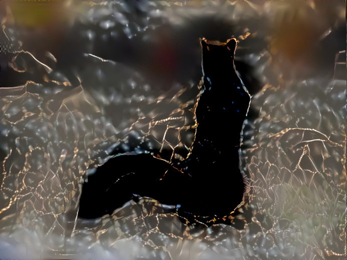 Brutus the Black Squirrel 01