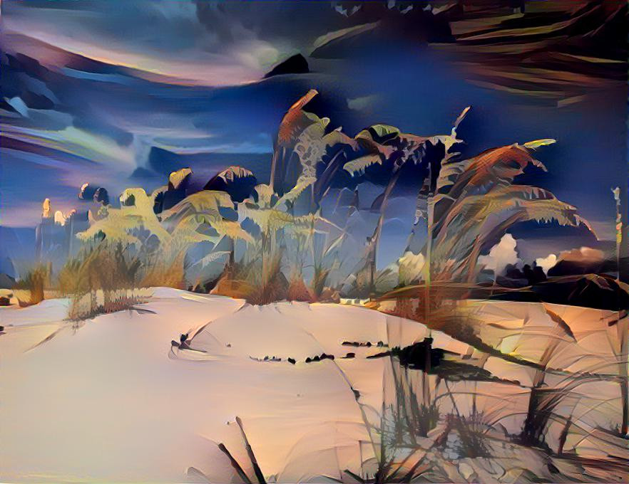 BEACH GRASS SAND DUNE DARK