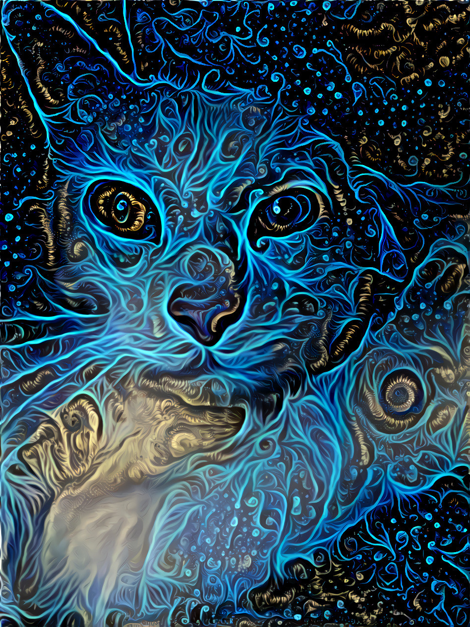 Space Kitty