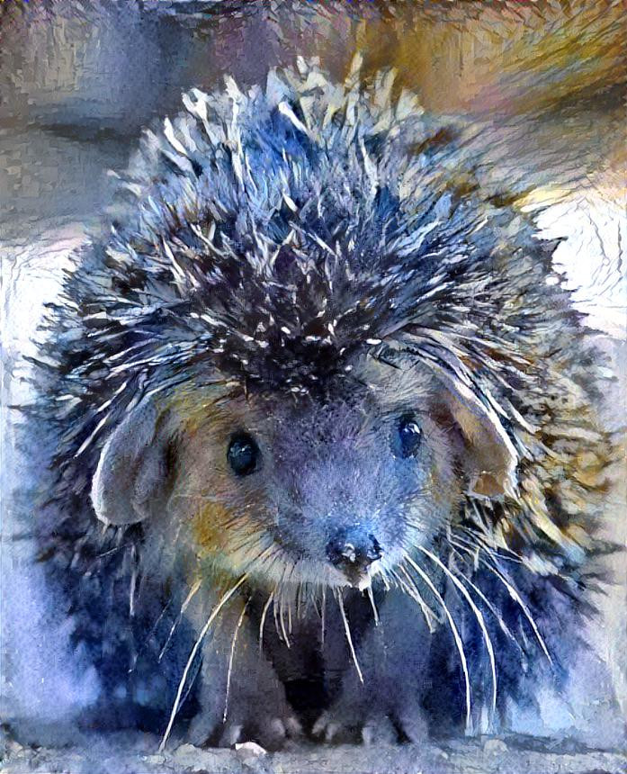Winter  Hedgehog