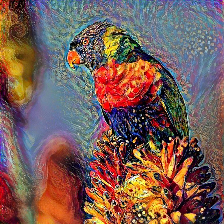 Colorful Parrot