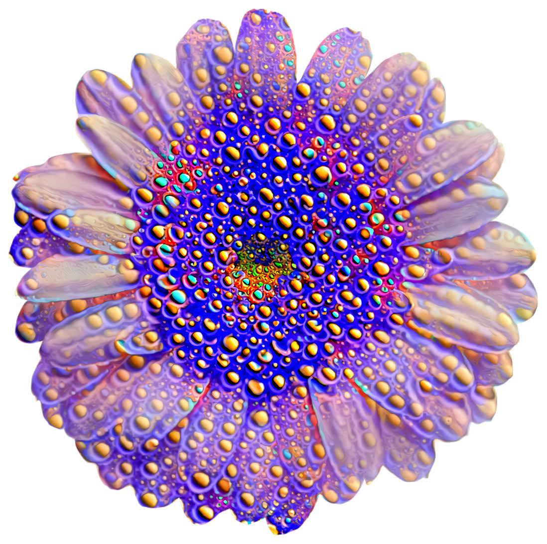 Wart flower